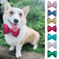 thumbnail image 2 of Lovely Bow Pet Collar - Party Dress Up Lightweight Neck Accessories for Cats and Dogs - Taking Photo, 2 of 8