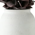 thumbnail image 5 of Better Homes & Gardens Artificial Purple Eucalyptus in White Ceramic Vase, 12", 5 of 9