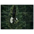 thumbnail image 1 of Picture-Tiles.com: Bird Ceramic Tile Wall Mural WAL500203-43S. 17"W x 12.75"H using (12) 4.25" x 4.25" Ceramic Tiles-Satin Finish, 1 of 3