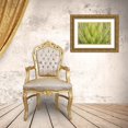 thumbnail image 3 of Paulson, Don 24x17 Gold Ornate Wood Framed with Double Matting Museum Art Print Titled - Mexico, San Miguel de Allende Yucca plant, 3 of 4