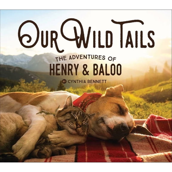 Our Wild Tails: The Adventures of Henry & Baloo, (Hardcover)