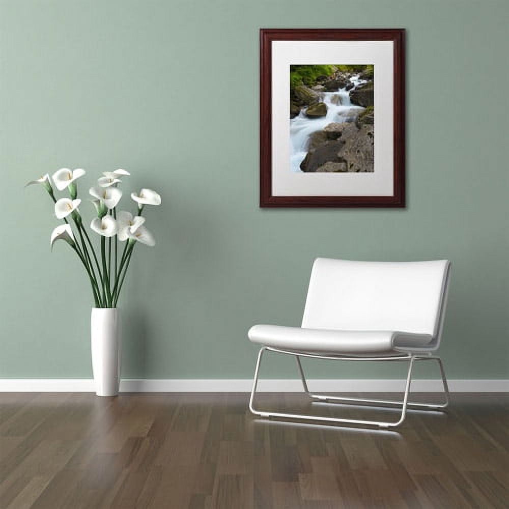 Trademark Fine Art "Wet Rocks" Canvas Art by Philippe Sainte-Laudy, White Matte, Wood Frame