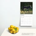 thumbnail image 4 of Donkeys | 2024 12x24" (Hanging) Monthly Square Wall Calendar | BrownTrout, 4 of 8