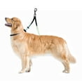 thumbnail image 4 of Downtown Pet Supply No Sit Grooming Loop Restraint for Dog Grooming, Dual Loop S/M, 4 of 8