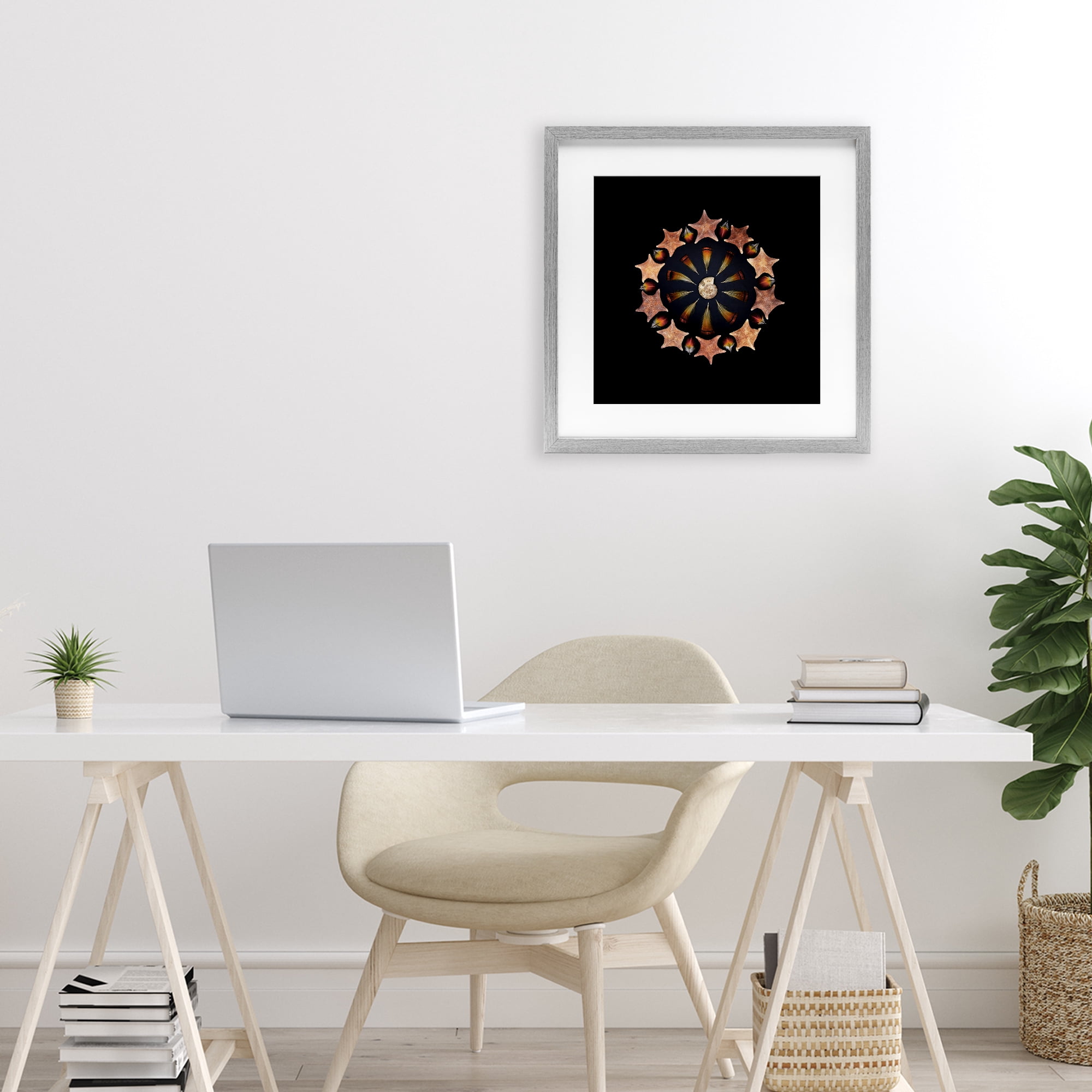 Stupell Industries Nautical Nature Arrangement Gray Framed Print Under Glass, design by Beth Adoette