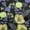 Yellow, variant on oneOone Polyester Spandex Aqua Blue Fabric Asian Oriental Quilting Supplies Print Sewing Fabric By The Yard 56 Inch Wide