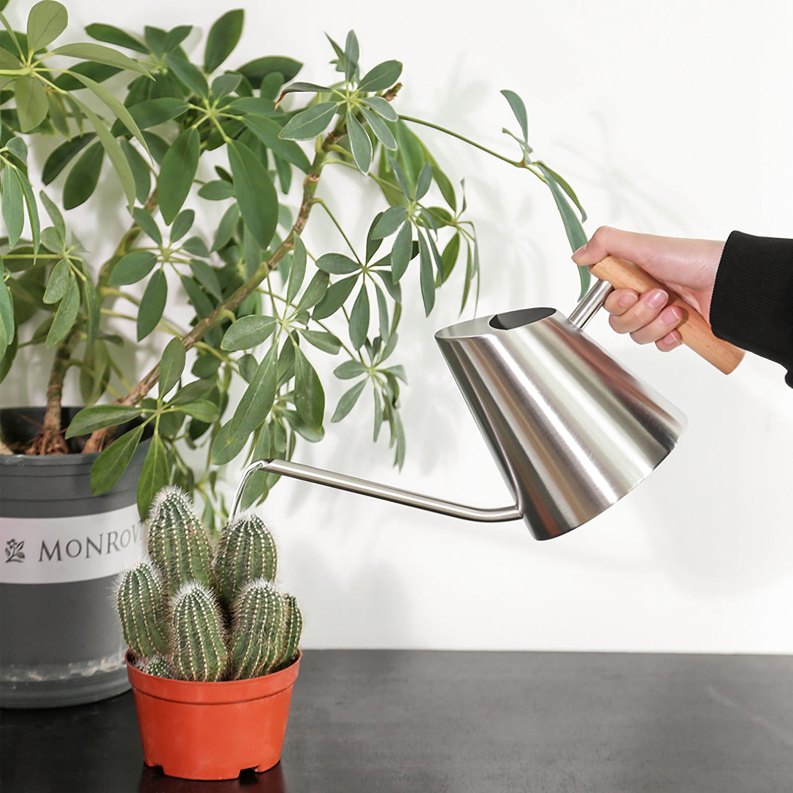 Succulent Watering Kettle Indoor Watering Can Spout Watering Cans Flower Watering Can Indoor Plant Accessories Watering Can Indoor Plants Cute Watering Can Plant for Inside