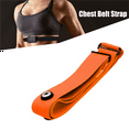 thumbnail image 2 of 5X for Heart Rate Chest Belt Adjustable Elastic Strap for Sports Monitor Heart Rate Rate Belt, 2 of 5