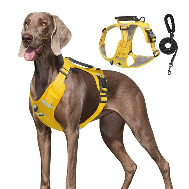 Arnés de Seguridad UNA MASCOTA Amarillo con Correa para Perro Chico Mediano y Grande