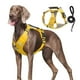 thumbnail image 1 of Arnés de Seguridad UNA MASCOTA Amarillo con Correa para Perro Chico, Mediano y Grande, 1 of 9