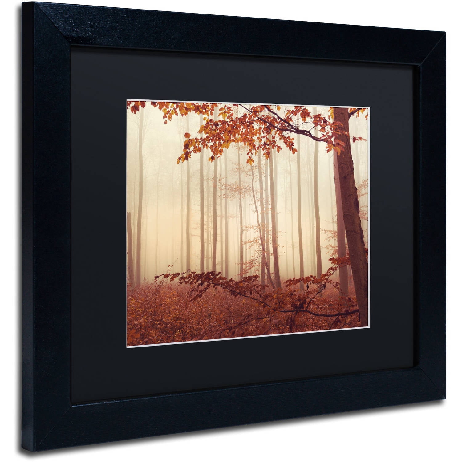 Trademark Fine Art "The Last of Fall" Canvas Art by Philippe Sainte-Laudy Black Matte, Black Frame