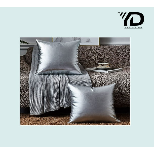 Decorative Pillow,Throw Pillows for Couch Set of 2