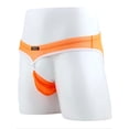 thumbnail image 4 of TANBOM Men's Regular Triangle Mesh Underwear Breathable Assorted Colors XL 4-pack, 4 of 5