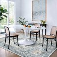 thumbnail image 2 of Area Rugs x for Living Room Machine Washable Rug for Hallway Kitchen Low Pile Print Rug for Bedroom Dining Room Home Office, 2 of 8