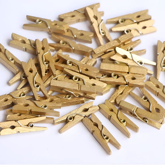 XIBUFE 2026 New 100 Pcs Mini Wooden Clothespins,Clothes Pins Photo Paper Pin Craft Clips for Home School Arts Crafts Decor,1 Inch for Hanging Photos,Notes,Cards,Crafts,Diy Projects,Decorations