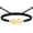 Gold, variant on Pet Urn Bracelet for Dogs Ashes Cremation Bracelet - Adjustable Paw Print Cremation Bracelet for Dog/Cat Ashes - Braided Rope / Stainless Steel Memorial Urn Bangle Jewelry