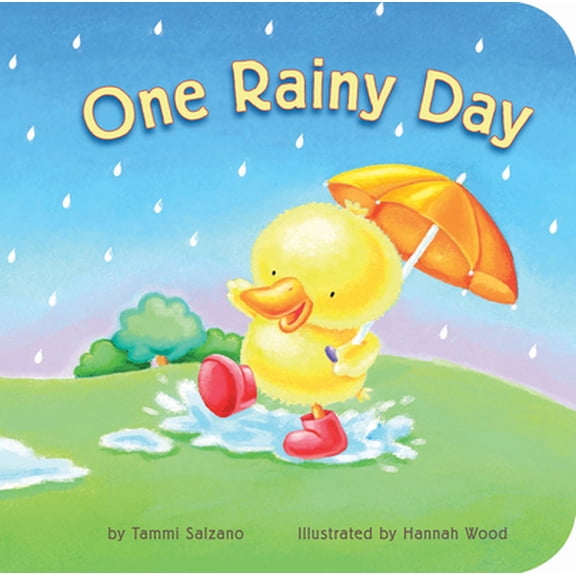 Pre-Owned One Rainy Day (Unknown) 1589258606 9781589258600