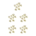 thumbnail image 1 of Ounissouiy 12 piezas de flores secas para manualidades, accesorios para hacer flores prensadas. Type5 NO5, 1 of 6