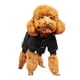 thumbnail image 3 of Ropa para Mascotas Xihbxyly con Diseño de Dinosaurio y calavera para perros, 3 of 6