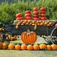 thumbnail image 3 of Metal Pumpkin Garden Stakes - Autumn Decorative Yard Signs - Indoor Outdoor  Flower Stake Fall Lawn Ornaments Pumpkin Decoration for Harvest Halloween (26"-A), 3 of 6
