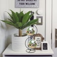 thumbnail image 4 of MasteelfCA 1PC Home Micro Landscaping Hanging Rack Delicate Small Hanging Bottle Bracket, 4 of 9