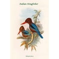 thumbnail image 1 of Halcyon Fusca - Indian Kingfisher-Fine Art Canvas Print (20" x 30"), 1 of 1