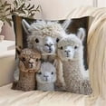 thumbnail image 3 of Misright Plush Pillowcase Sensitive Skin Machine Washable, 3 of 9