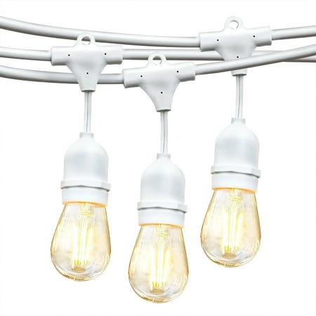 Brightech Ambience Pro LED Outdoor String Lights 48 ft, Waterproof Shatterproof 2W Dimmable Edison Bulbs for Patio, Backyard, Porch, 2700K Soft White, White Cord