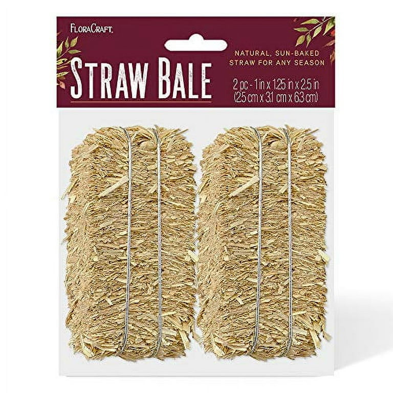 BELL NURSERY Mini Straw Bales 8 in. x 10 in. x 16 in. STRAWMINI1PK - The  Home Depot
