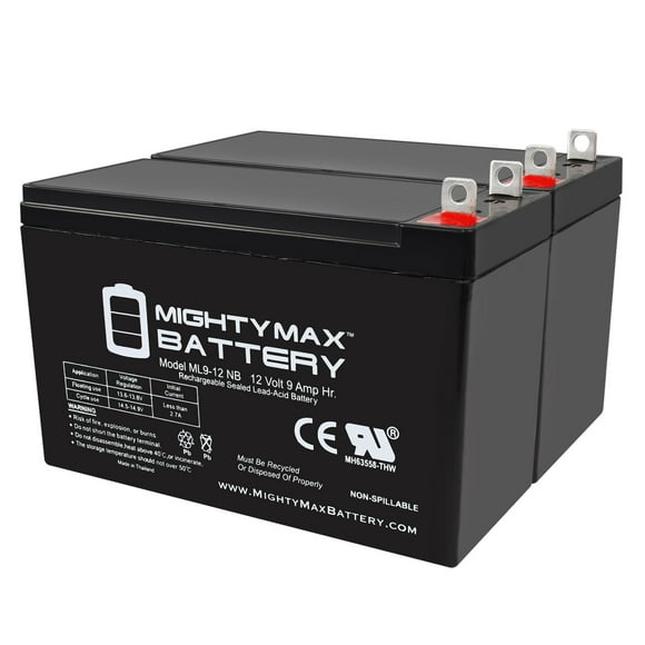 Generator Battery Replacement