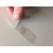 LabTech Easy to Use Mold Detection Test Kit