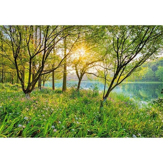 Fresque Murale Spring Lake - 145 Po.