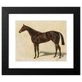 thumbnail image 2 of Emil Adam 18x15 Black Modern Framed Museum Art Print Titled - A Dark Brown Thoroughbred Mare, 2 of 5