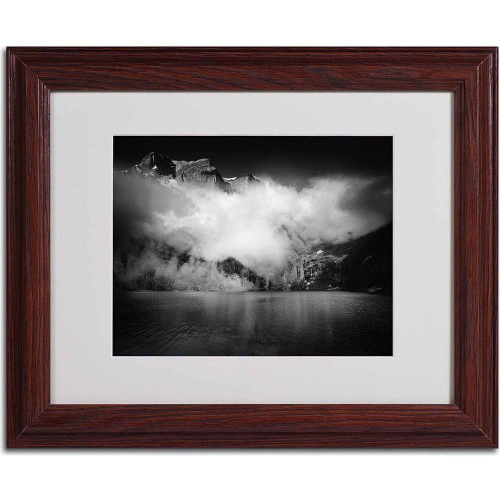 Trademark Fine Art "Black Beauty" Canvas Art by Philippe Sainte-Laudy, Wood Frame