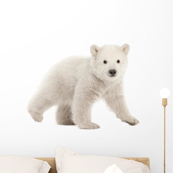 Polar Bear Cub Wall Mural by Wallmonkeys Peel and Stick Graphic (24 in W x 18 in H) WM190660