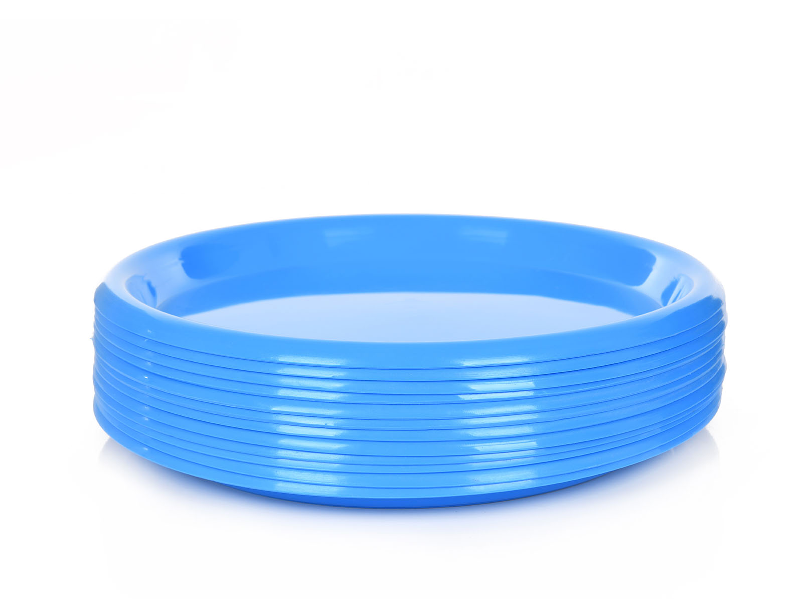 Mintra Home (04882) Large Plastic Reusable Plate 12 Pack ,Blue