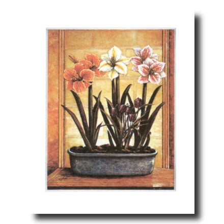  Paris  French Country Flower Wall  Picture Art  Print 