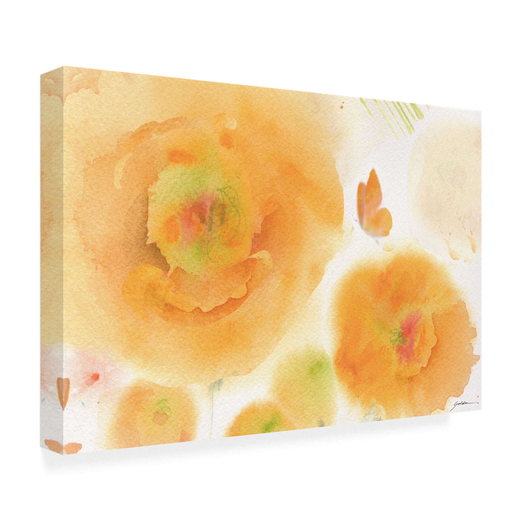 Canvas Wall Art - Sheila Golden 'Peace' Wall Art for Living Room, Bedroom, or Office Décor by Trademark Fine Art - 19 x 12 Inches