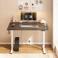 thumbnail image 4 of FunniHomi 48" x 30" Electric Height Adjustable Standing Desk with Hooks, Whole-Piece Desktop Cable Management Tray, and Built-in Power Outlet, Ergonomic Sit-Stand Desk for Home Office(2 Packages), 4 of 10