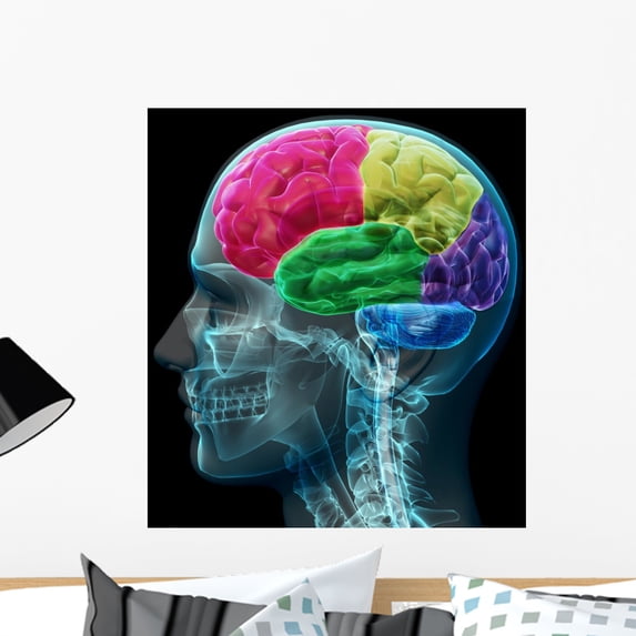 Colored Sections Male Human Wall Mural by Wallmonkeys Peel and Stick Graphic (24 in H x 22 in W) WM285291