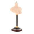 thumbnail image 1 of 1/6 soporte de busto femenino masculino escala 1:6 figura masculina femenina soporte de busto accesorios de estante de exhibición Femenino a, 1 of 7