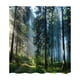 thumbnail image 1 of Cortina de ducha de 180x180 cm con agujeros, impermeable, con estampado digital. bosque, 1 of 7
