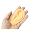 thumbnail image 3 of Body Parts Stress Ball Bundle - Office, Doctor, Med Student Anatomy, 3 of 9