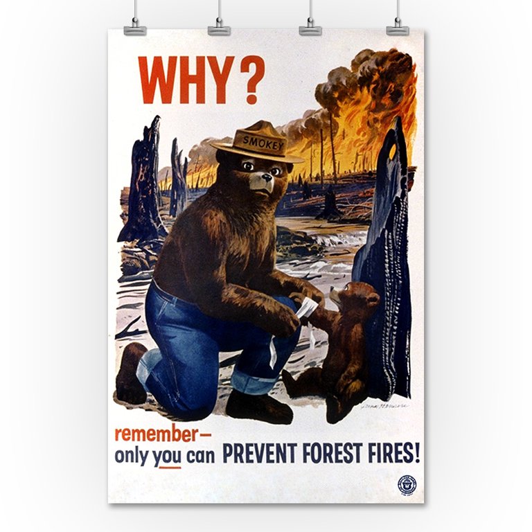 smokey the bear poster