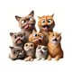 thumbnail image 2 of Pegatinas para coches, pegatinas personalizadas, pegatinas decorativas, impermeables, 2 of 6