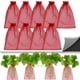 thumbnail image 2 of 10-100PCS Strawberry Grapes Fruit Grow Bag Netting Mesh For Vegetable Plant Protection Gift Organza Bags Anti-Bird Garden Tools16x22cm (50pcs) He Qiyong unisex, 2 of 2