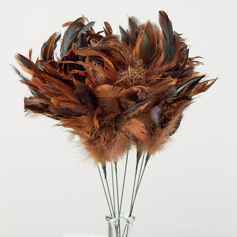 Dark Brown Feather Sprays
