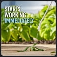 thumbnail image 4 of Roundup Dual Action 365 Weed & Grass Killer Plus 12 Month Preventer with Comfort Wand, 1 gal., 4 of 13
