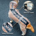 thumbnail image 3 of Raincoat para perros, poncho de drogas con capucha para perros, 4 patas chaqueta de lluvia para perros con franja reflectante, ropa de agua resistente a prueba de agua transparente esquí esquí Gafas de esquí, 3 of 5