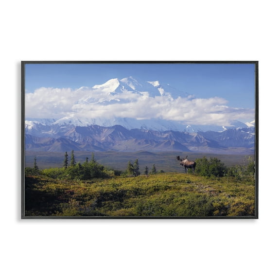 Stupell Industries Mountain Majesty Moose Landscape & Nature Photography Black Framed Art Print Wall Art, 18 x 12